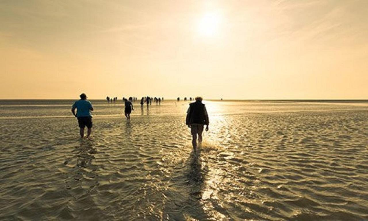 Chalet Op Camping Lauwersoog Met 3 Slaapkamers En Vaatwasser - Joycasa Eksteriør bilde